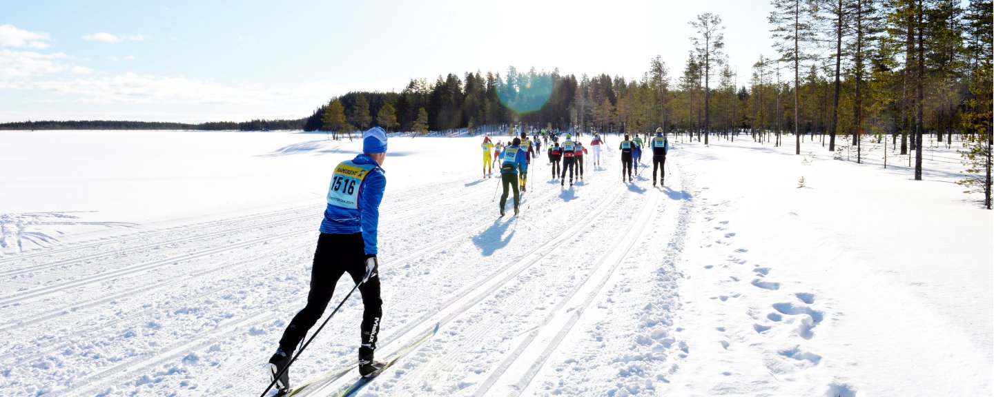 Bild på skidåkare en solig vinterdag